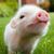 Profile picture small