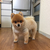 Profile picture small