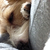 Profile picture small