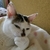 Profile picture small