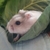 Profile picture small