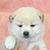 Profile picture small