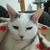 Profile picture small
