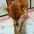 Profile picture small