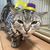 Profile picture small