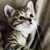 Profile picture small