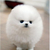 Profile picture small