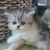 Profile picture small