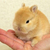 Profile picture small