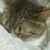 Profile picture small