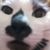 Profile picture small