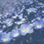 Profile picture small