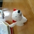 Profile picture small