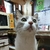 Profile picture small