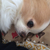 Profile picture small