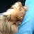 Profile picture small