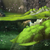 Profile picture small