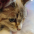 Profile picture small