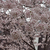 Profile picture small