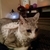 Profile picture small
