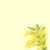 Profile picture small