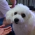 Profile picture small