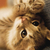 Profile picture small