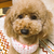 Profile picture small