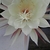 Profile picture small