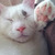Profile picture small