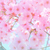 Profile picture small