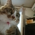 Profile picture small