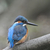 Profile picture small