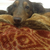 Profile picture small