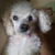 Profile picture small
