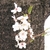 Profile picture small