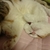 Profile picture small