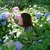 Profile picture small