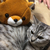 Profile picture small