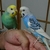Profile picture small