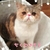 Profile picture small