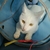 Profile picture small