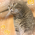 Profile picture small