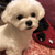 Profile picture small