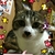 Profile picture small