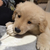 Profile picture small