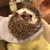 Profile picture small