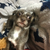 Profile picture small