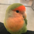 Profile picture small