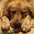 Profile picture small